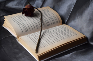 Image-preview_300x200