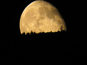 Image-preview_300x200