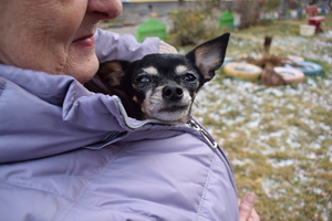 Image-preview_300x200