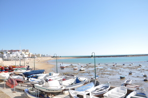 Image-preview_300x200