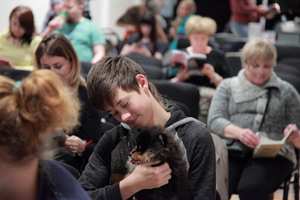 Image-preview_300x200