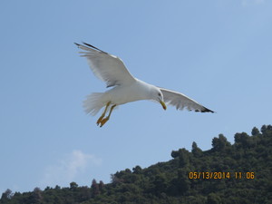 Image-preview_300x200