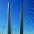 Image-square_50