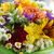 Image-square_50