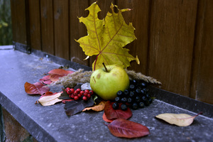 Image-preview_300x200