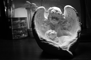 Image-preview_300x200