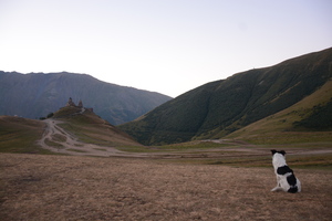 Image-preview_300x200