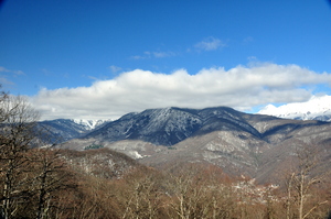 Image-preview_300x200