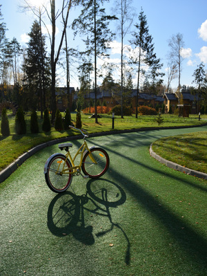 Image-preview_300x200