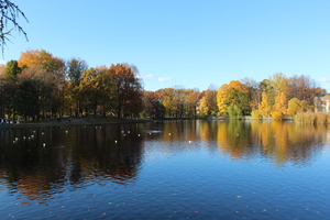 Image-preview_300x200