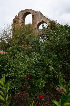 Image-preview_300x200