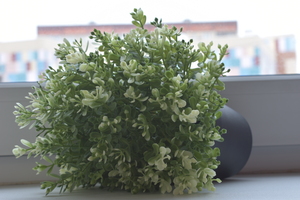 Image-preview_300x200