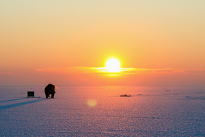 Image-preview_300x200