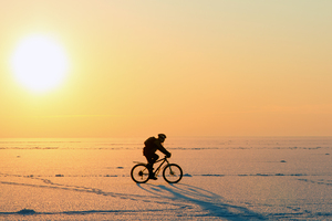 Image-preview_300x200