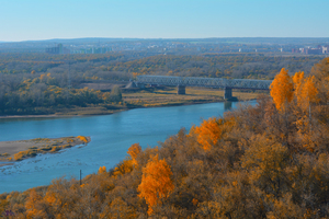 Image-preview_300x200