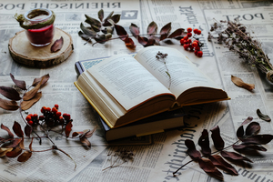 Image-preview_300x200