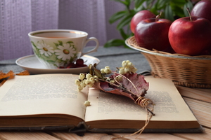 Image-preview_300x200