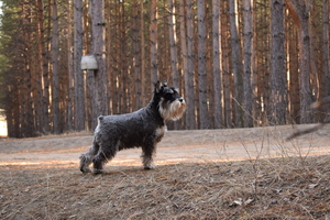 Image-preview_300x200