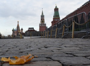 Image-preview_300x200