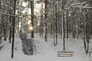 Image-preview_300x200