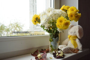 Image-preview_300x200