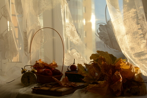 Image-preview_300x200