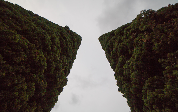 Image-normal