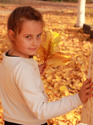 Image-preview_300x200