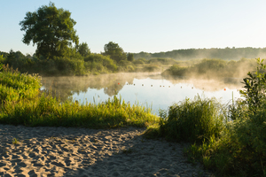 Image-preview_300x200