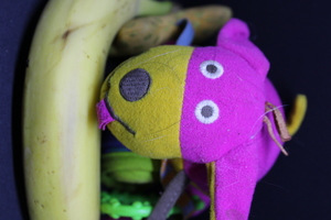 Image-preview_300x200