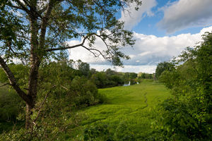 Image-preview_300x200