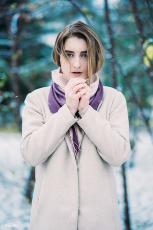 Image-preview_300x200