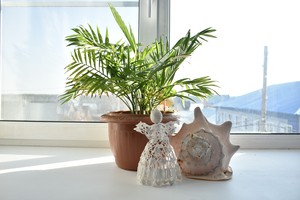 Image-preview_300x200