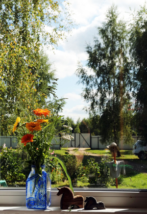 Image-preview_300x200