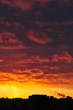 Image-preview_300x200