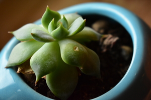 Image-preview_300x200