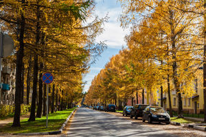 Image-preview_300x200