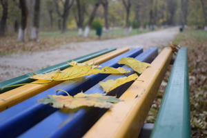 Image-preview_300x200