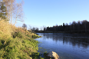 Image-preview_300x200