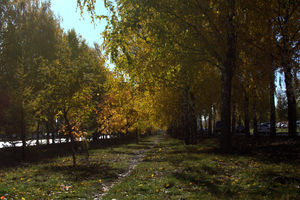 Image-preview_300x200