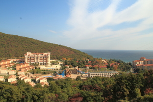 Image-preview_300x200