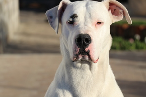 Image-preview_300x200