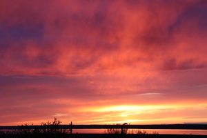 Image-preview_300x200