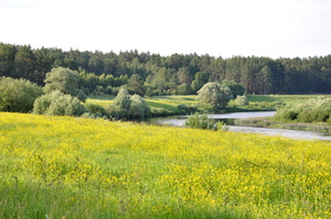 Image-preview_300x200