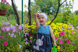 Image-preview_300x200