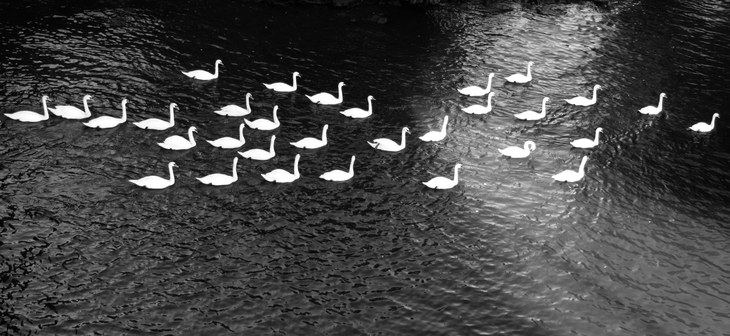 Image-normal