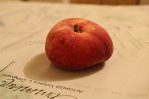 Image-preview_300x200