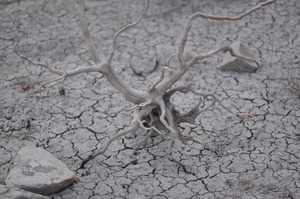 Image-preview_300x200