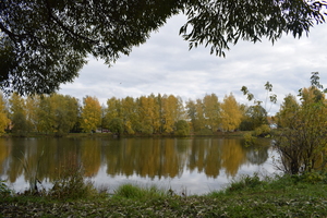 Image-preview_300x200