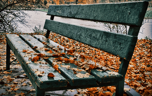 Image-preview_300x200